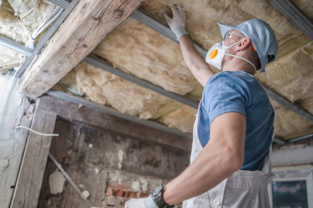 Best Specialized Insulation Services in Mentor On The Lake, OH