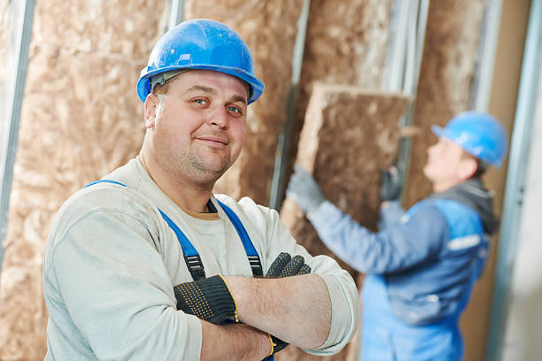 Best Insulation Maintenance and Repair in Mentor On The Lake, OH