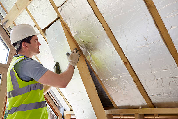 Best Eco-Friendly Insulation in Mentor On The Lake, OH